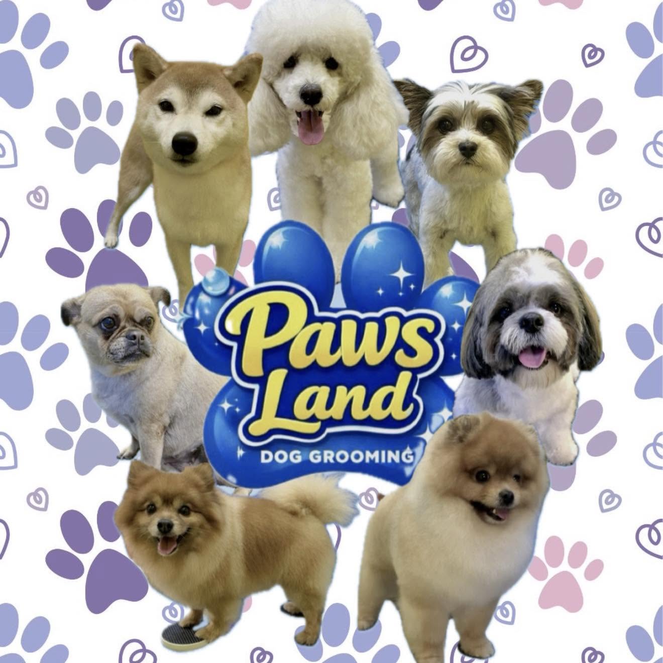 Happy dogs groomed at PAWSland